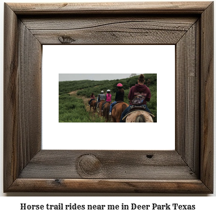 horse trail rides near me in Deer Park, Texas